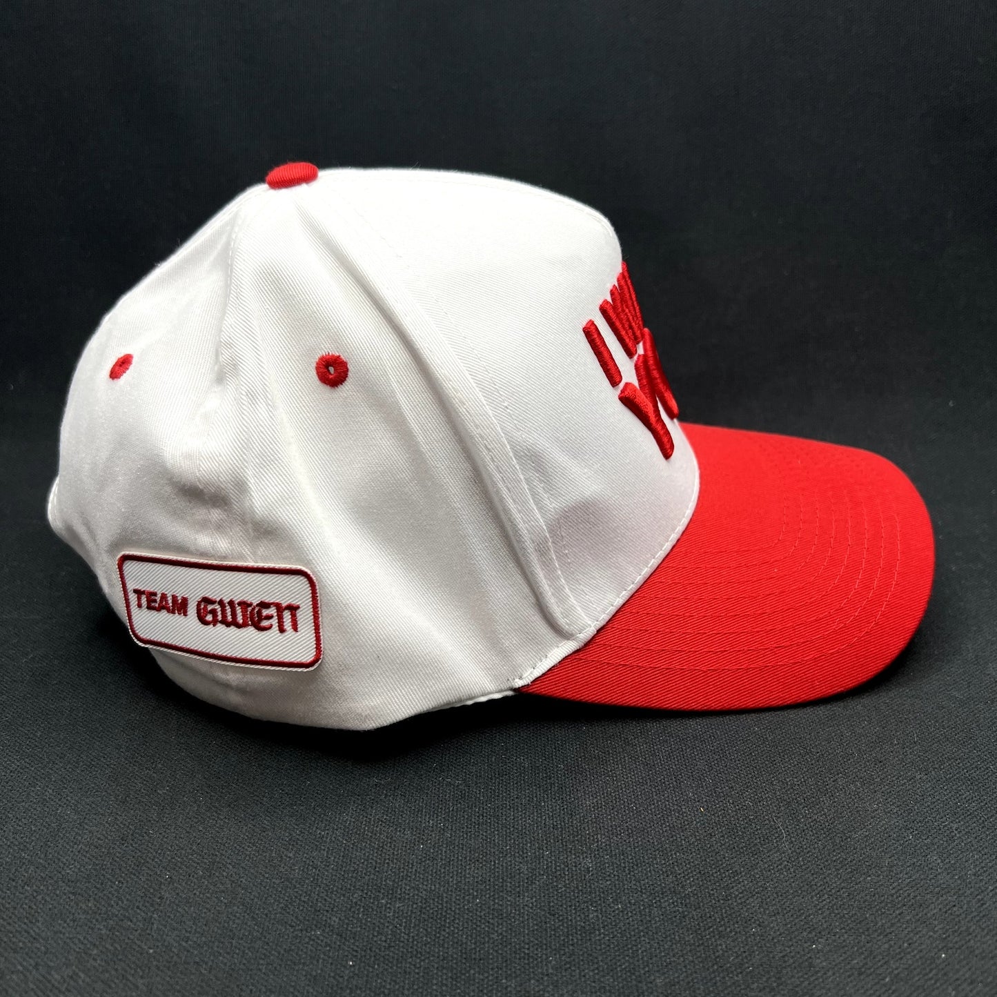Official The Voice “I Want You” Snapback TV Show Hat