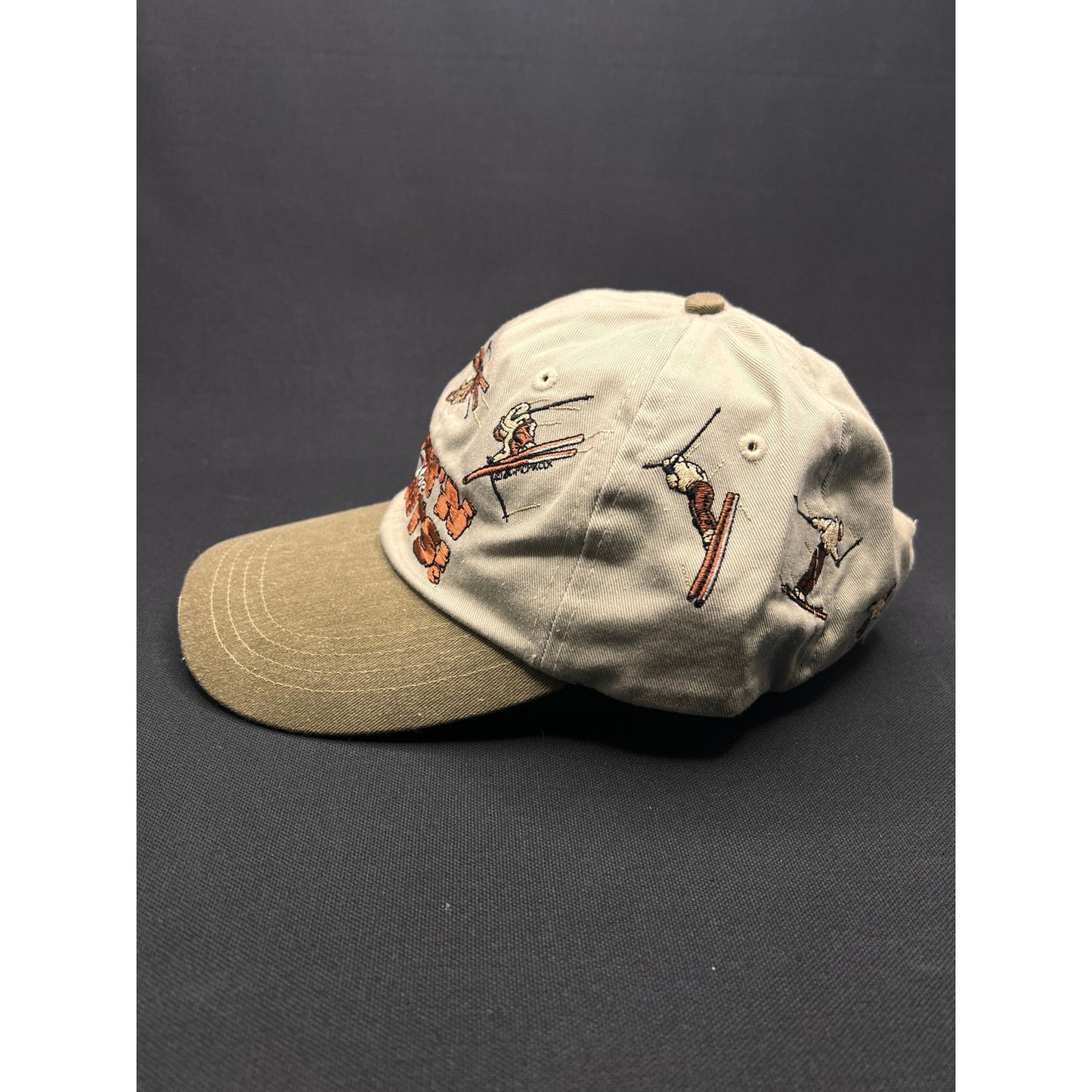 Vintage 90s “Pushin’ the Limits” Skiing Hat – Attitude Brand Strapback