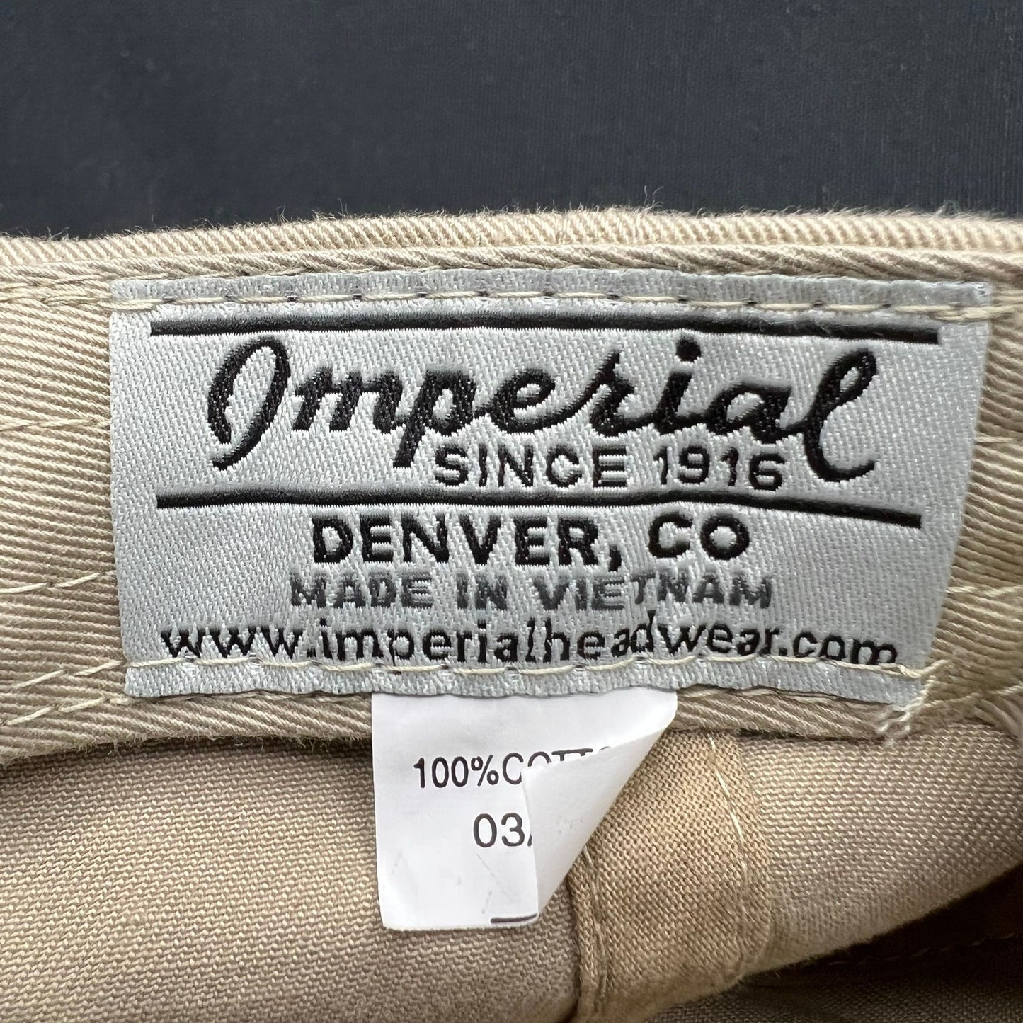 Vintage Aspen Dancing Bear Strapback Hat Style Ski Cap