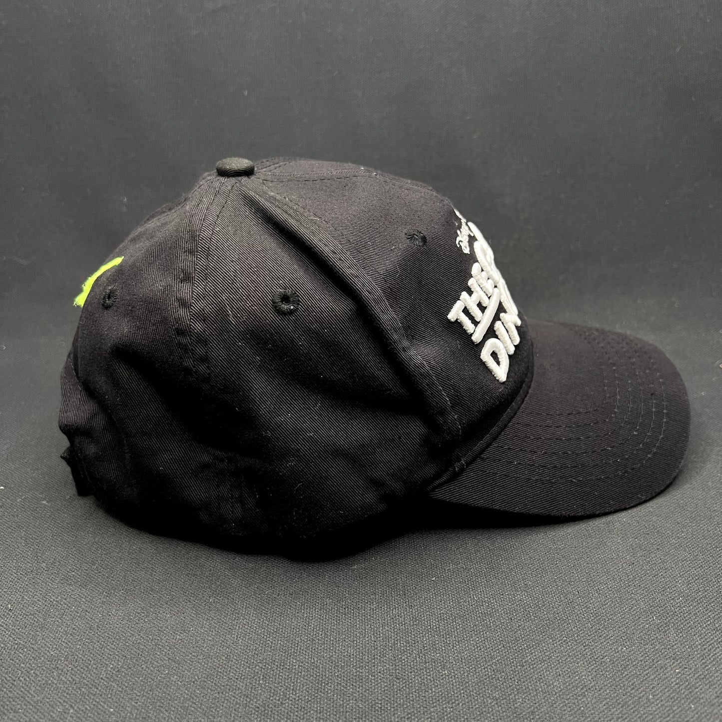 Disney Pixar The Good Dinosaur Strapback Hat Black Movie Promo