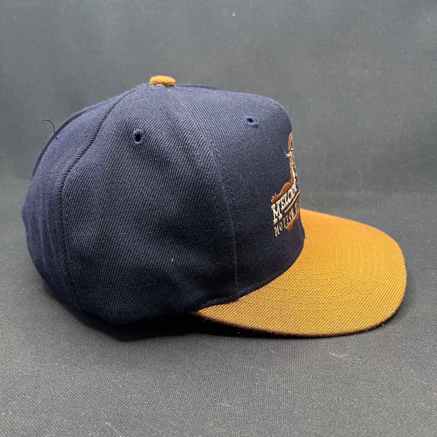 Vintage Melody Ranch Motion Picture Studio Western Snapback Hat