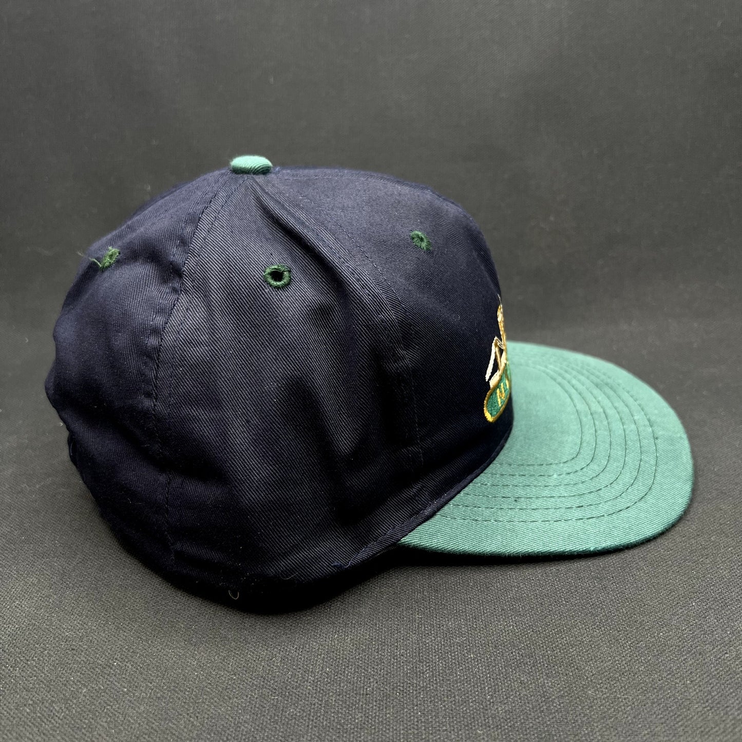 Vintage New York Skyline Snapback Hat Twin Towers NYC USA