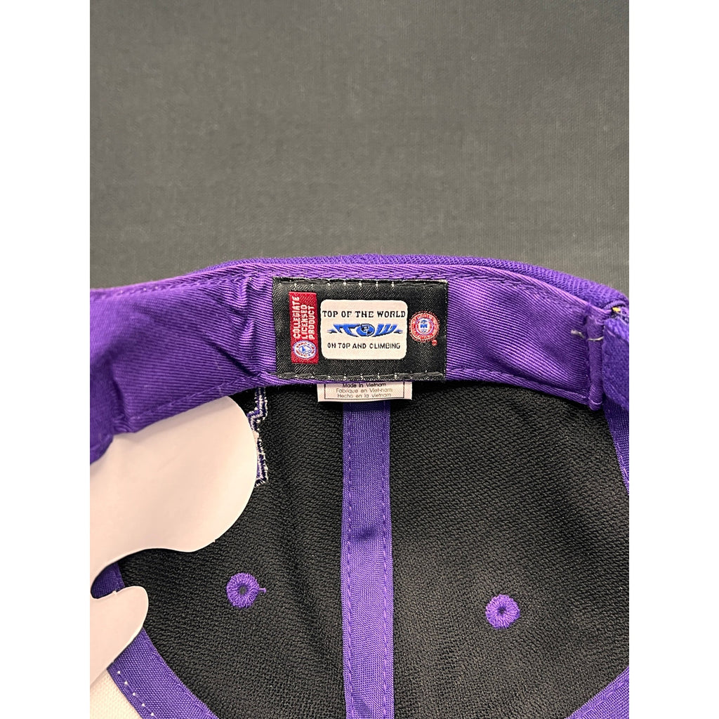 LSU Tigers 4× National Champions Hat – Top of the World Purple/White