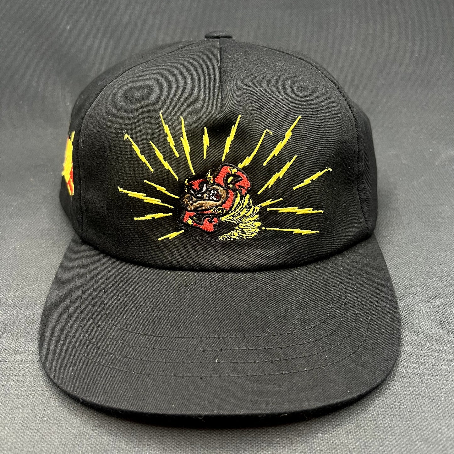 The Hundreds x Warner Bros Tasmanian Devil Snapback Hat Taz Looney Tunes