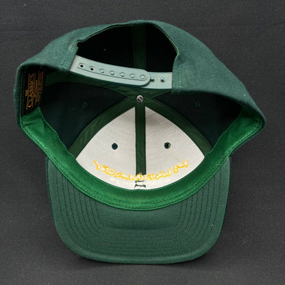 Pharmacy Boardshop Snapback Hat Yupoong Classics 90s Skate
