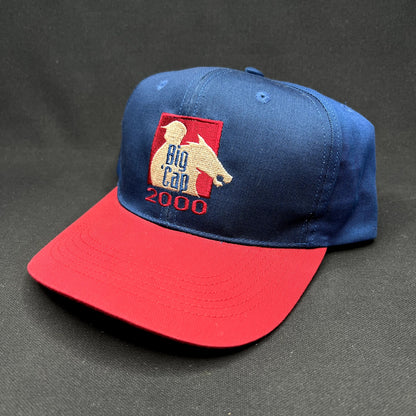 Vintage 2000 Big Cap Santa Anita Horse Racing Snapback Hat Y2K