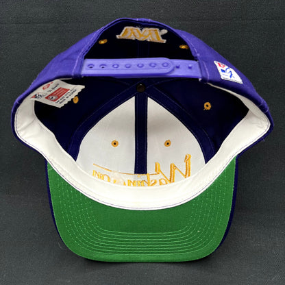 Vintage Washington Huskies The Game Snapback Hat Purple NCAA USA