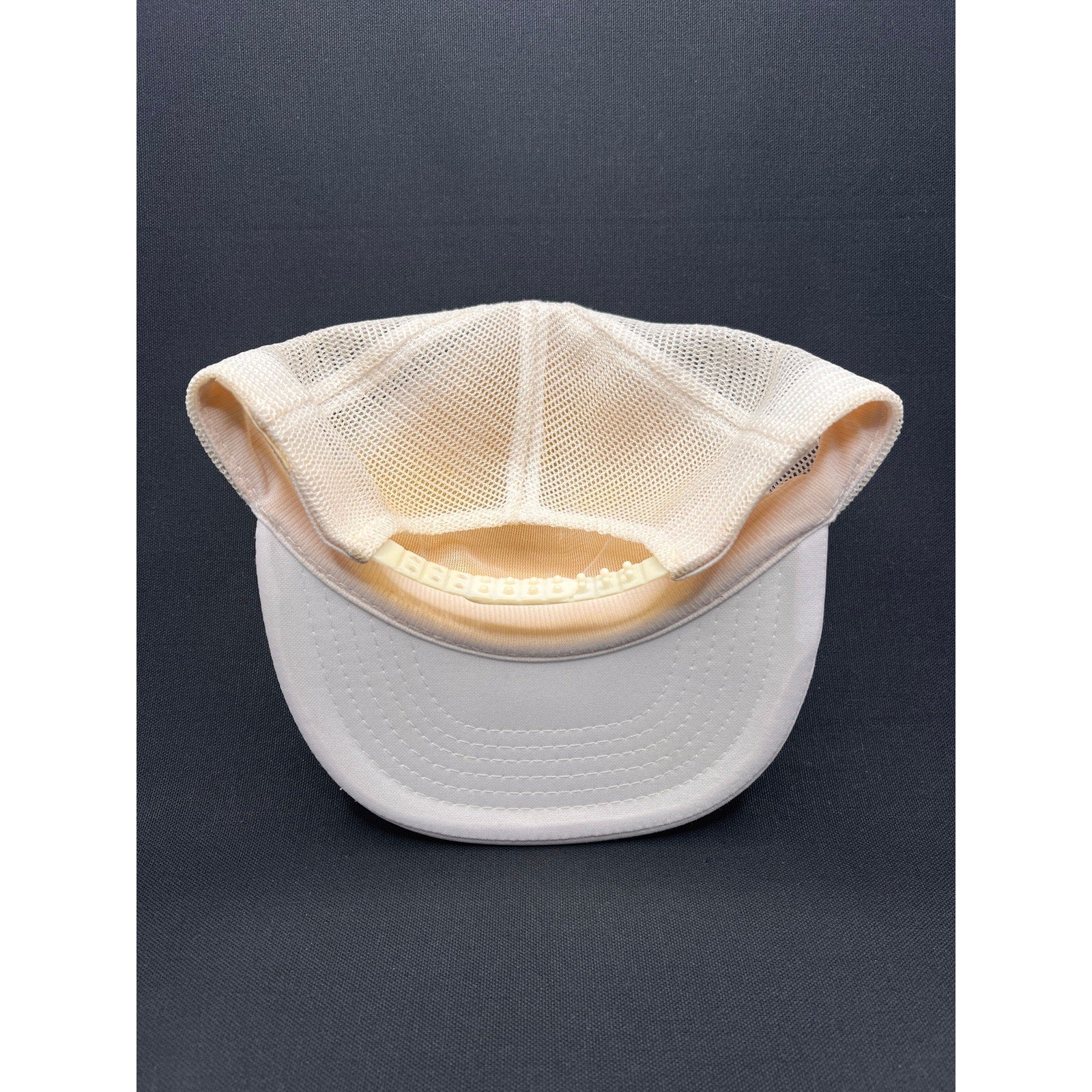 Vintage Late 1980s Arizona Desert Cartoon Trucker Hat – Headmost Taiwan ROC