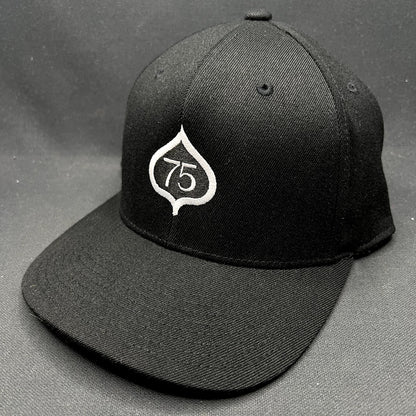 2022 Aspen 75th Anniversary Celebration Snapback Hat Black Yupoong 110