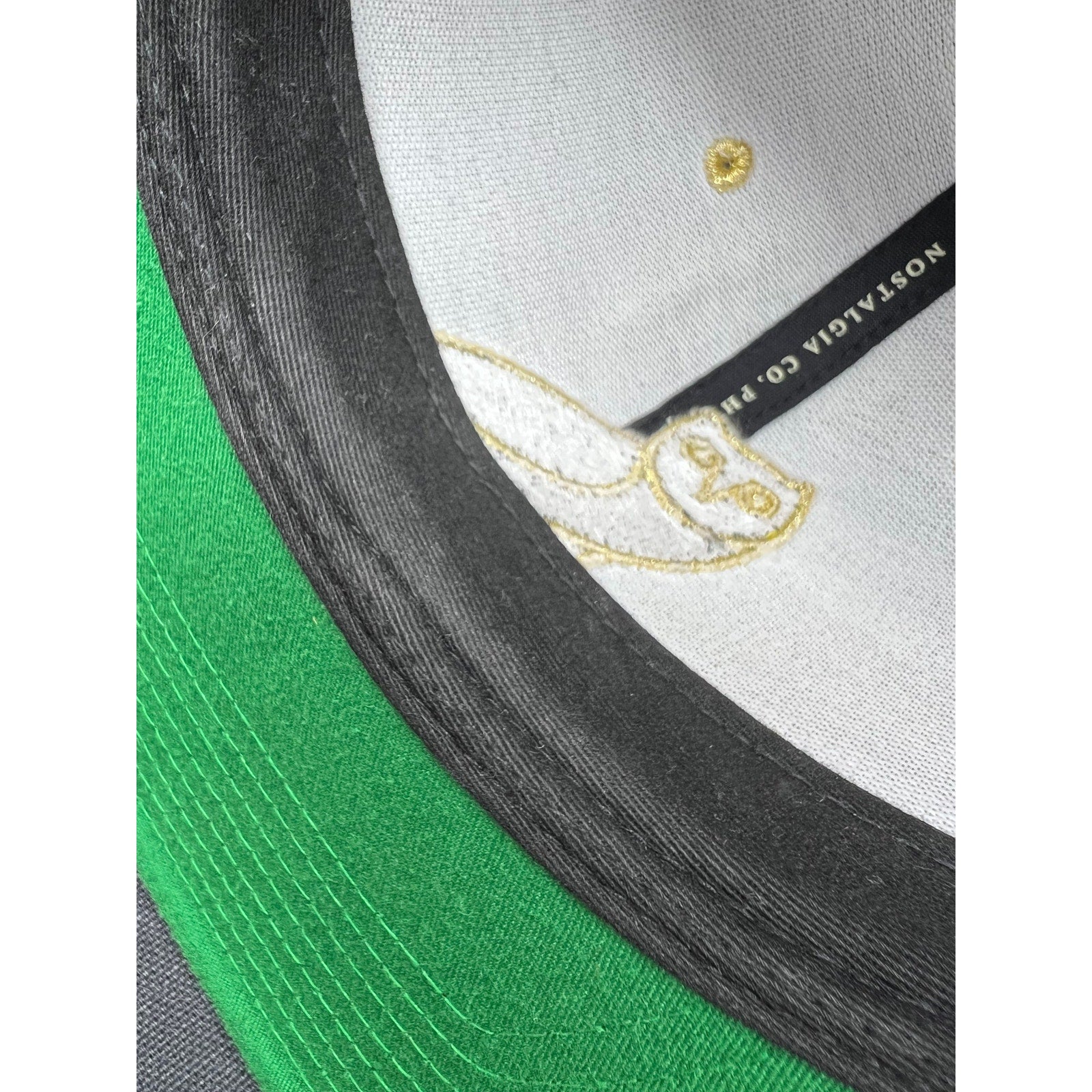 Rare 2015 Toronto Raptors x OVO Mitchell & Ness Snapback – Black & Gold Owl Edition