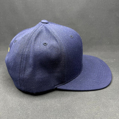 Rare Star Trek Cast & Crew Starfleet Academy Snapback Hat VTG