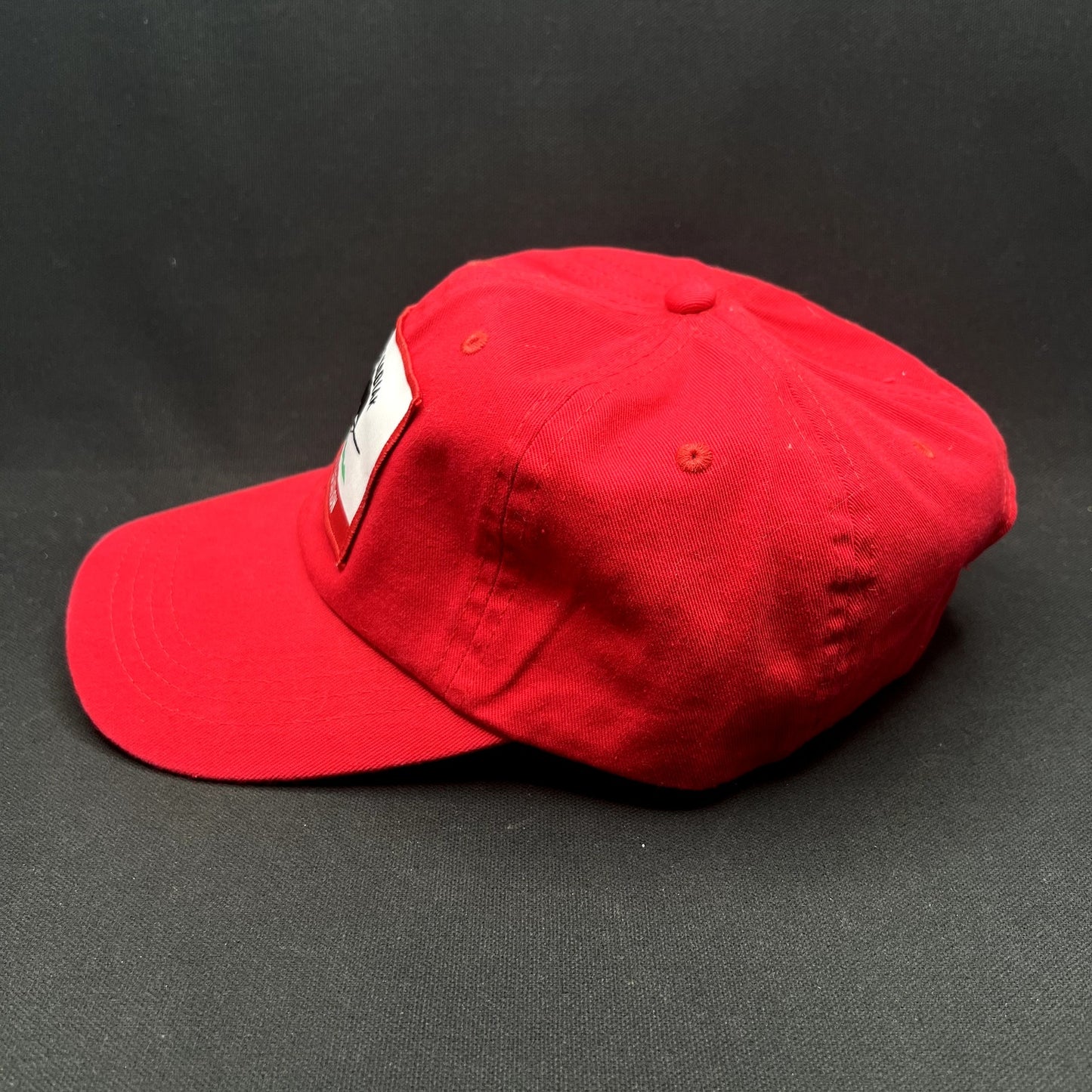 Quest Kodiak Clay Lacy Aviation Strapback Hat Red Bear Aircraft Pilot Cap