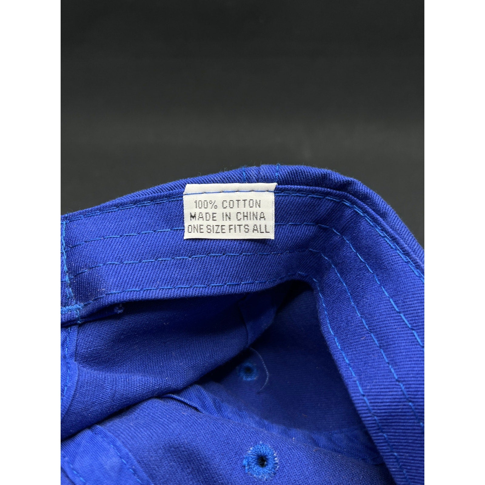 Vintage Trashmasters Aspen Golf Hat Royal Blue Strapback American Dry