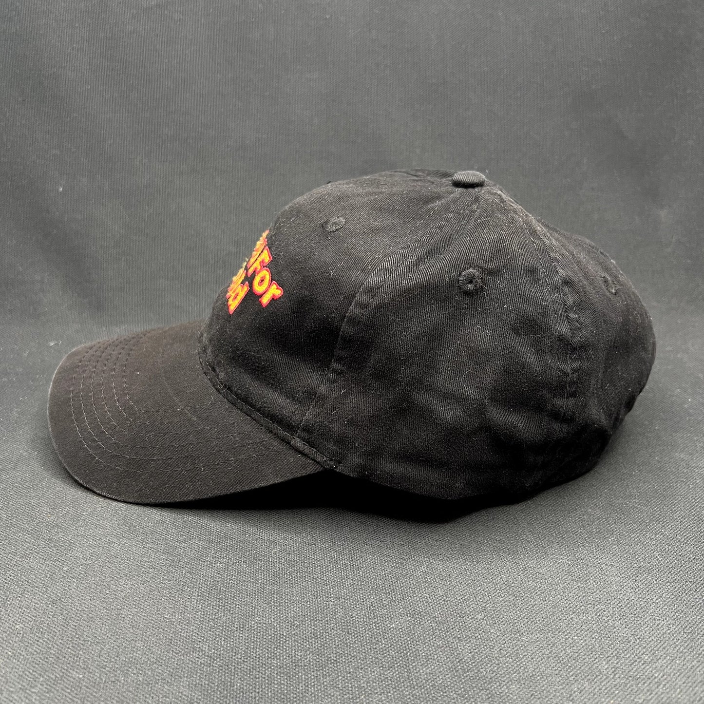 Arnold Schwarzenegger Amend For Arnold AMC Strapback Hat
