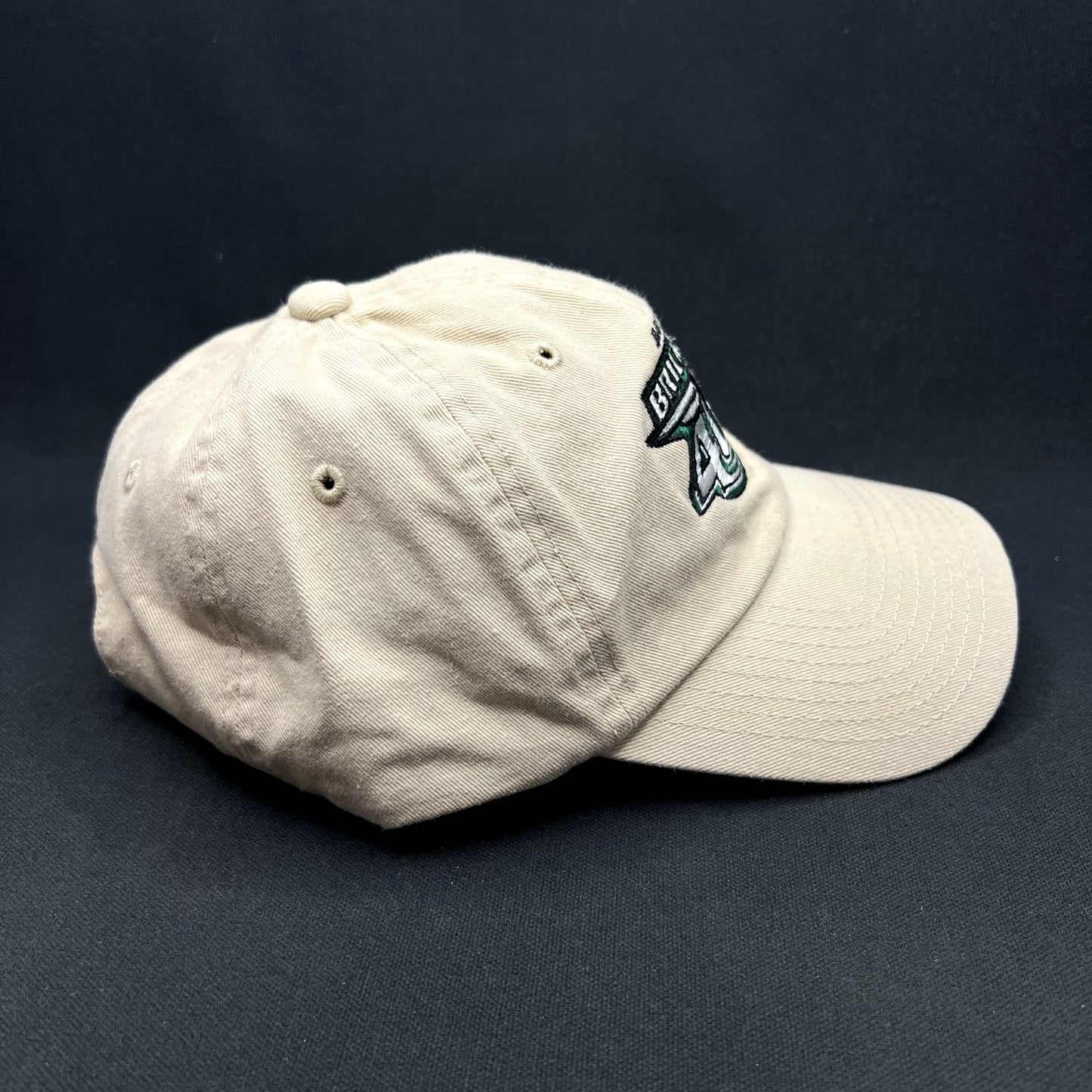 2010 Brickyard 400 2010 NASCAR Indianapolis Strapback Hat Top of the World