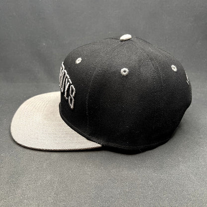 Newsboys Love Riot Tour Snapback Hat Christian Band CSW Merchandisew