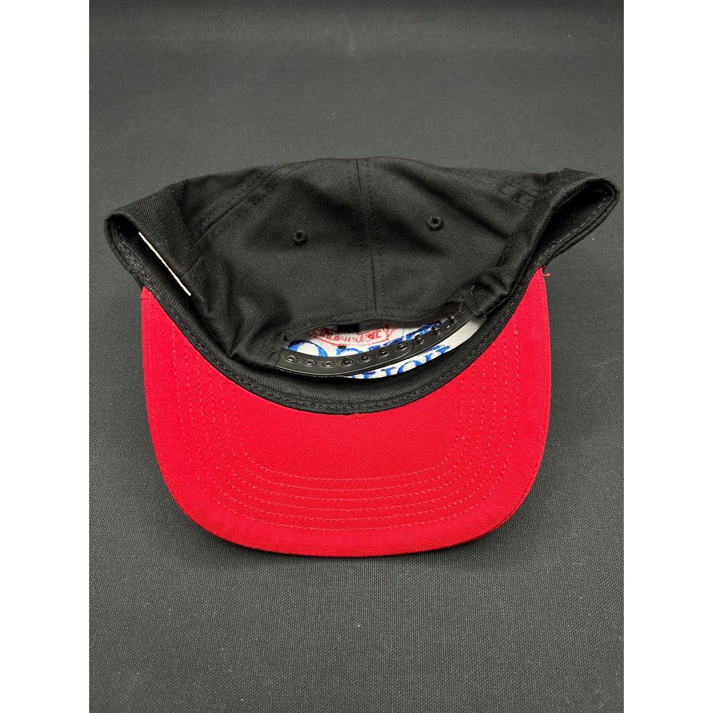 Vintage 1996 Tyson vs Holyfield Finally Hat MGM Grand Fight Snapback Made In USA