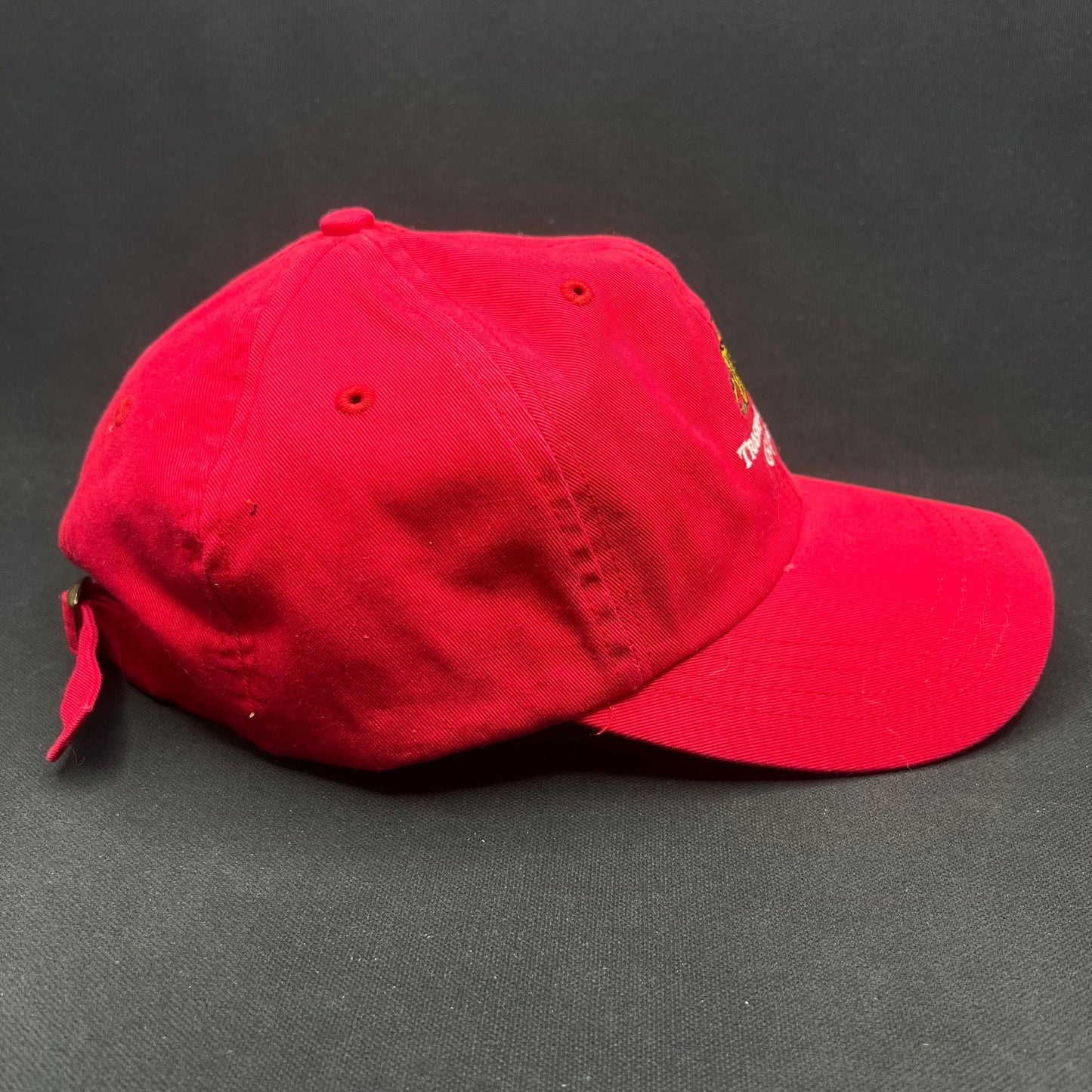 Trashmasters Aspen Golf Strapback Hat Red Vintage Style Promo Cap