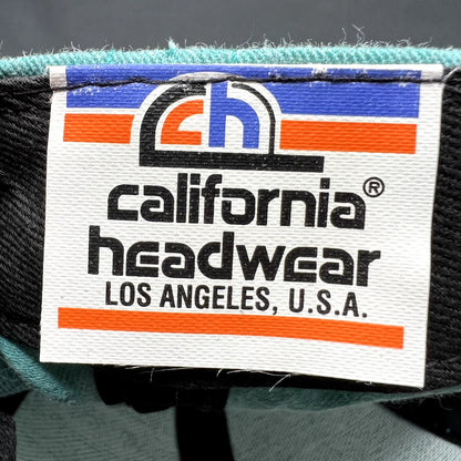 Vintage Aspen Valley Transit Department VTD Snapback Hat California Headwear USA