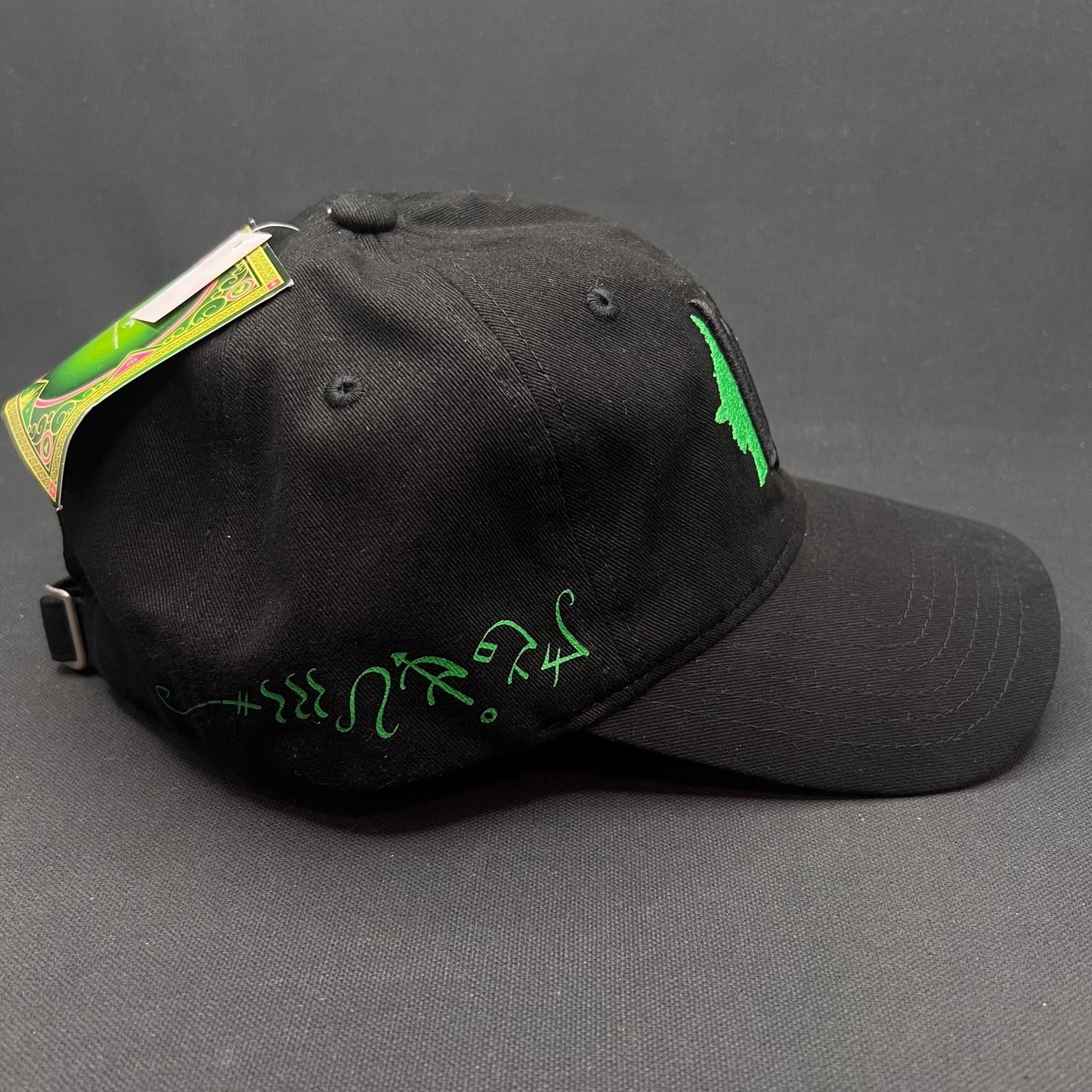 Wicked Musical Snapback Hat Universal Studios Broadway Cap
