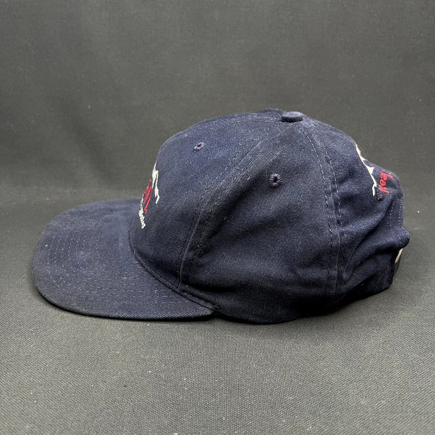 Vintage Evian Natural Spring Water Strapback Hat USA Made