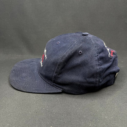 Vintage Evian Natural Spring Water Strapback Hat USA Made
