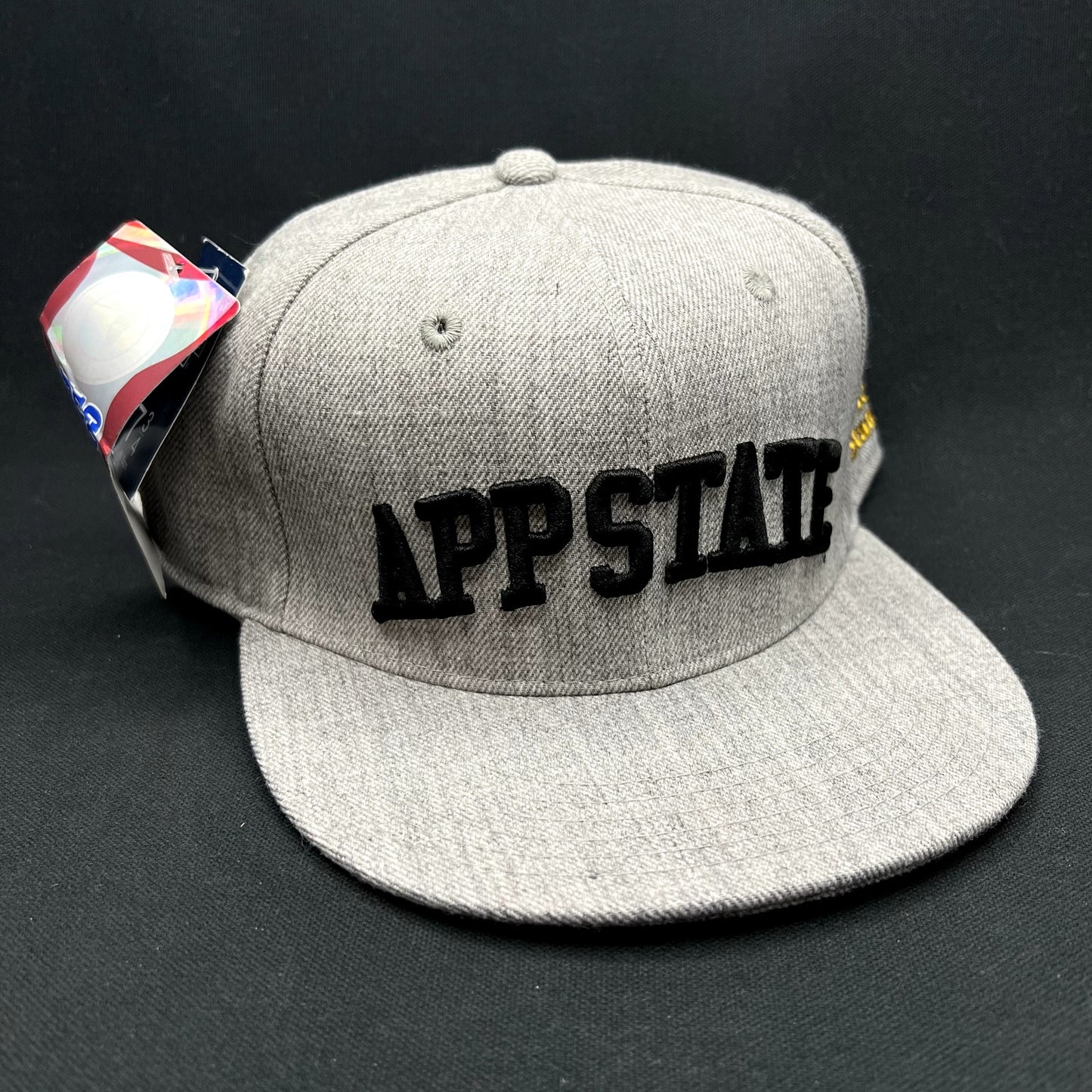 App State Mountaineers Fitted Hat 7 3/4 Gray W Republic NCAA