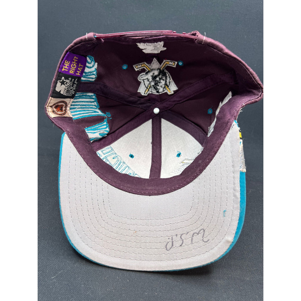 Very Rare Vintage 90s Mighty Ducks Starter Script Snapback Hat Teal Eggplant NHL