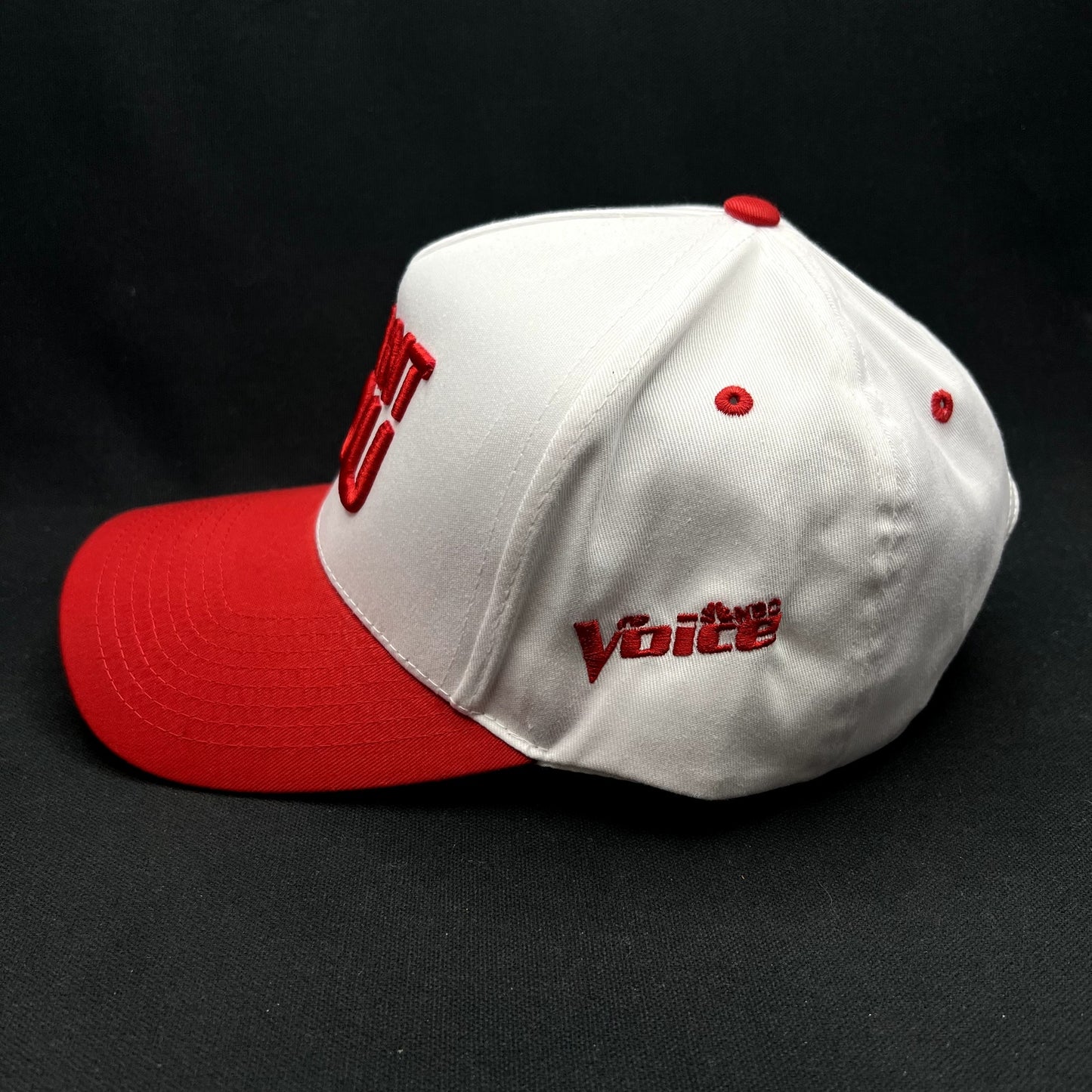 Official The Voice “I Want You” Snapback TV Show Hat