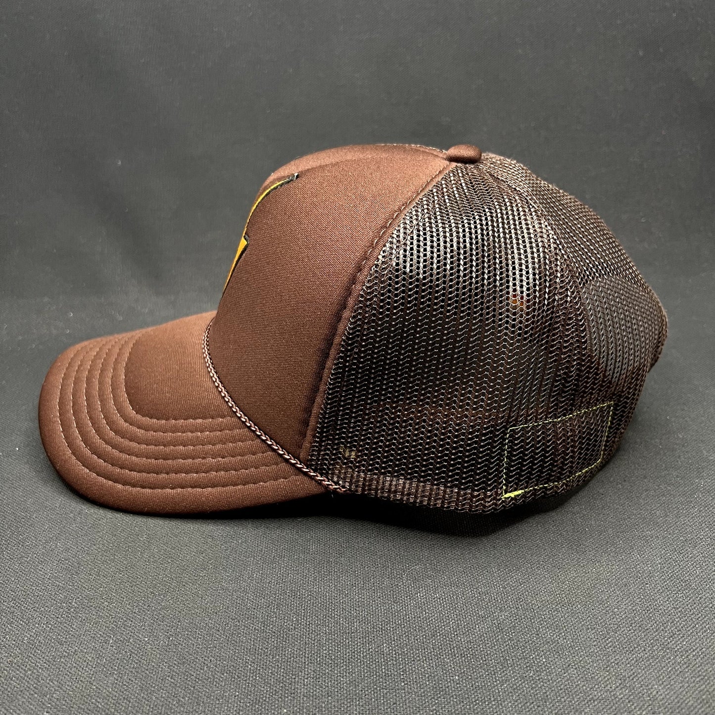 Aviator Nation Lightning Bolt Brown Trucker Snapback Hat