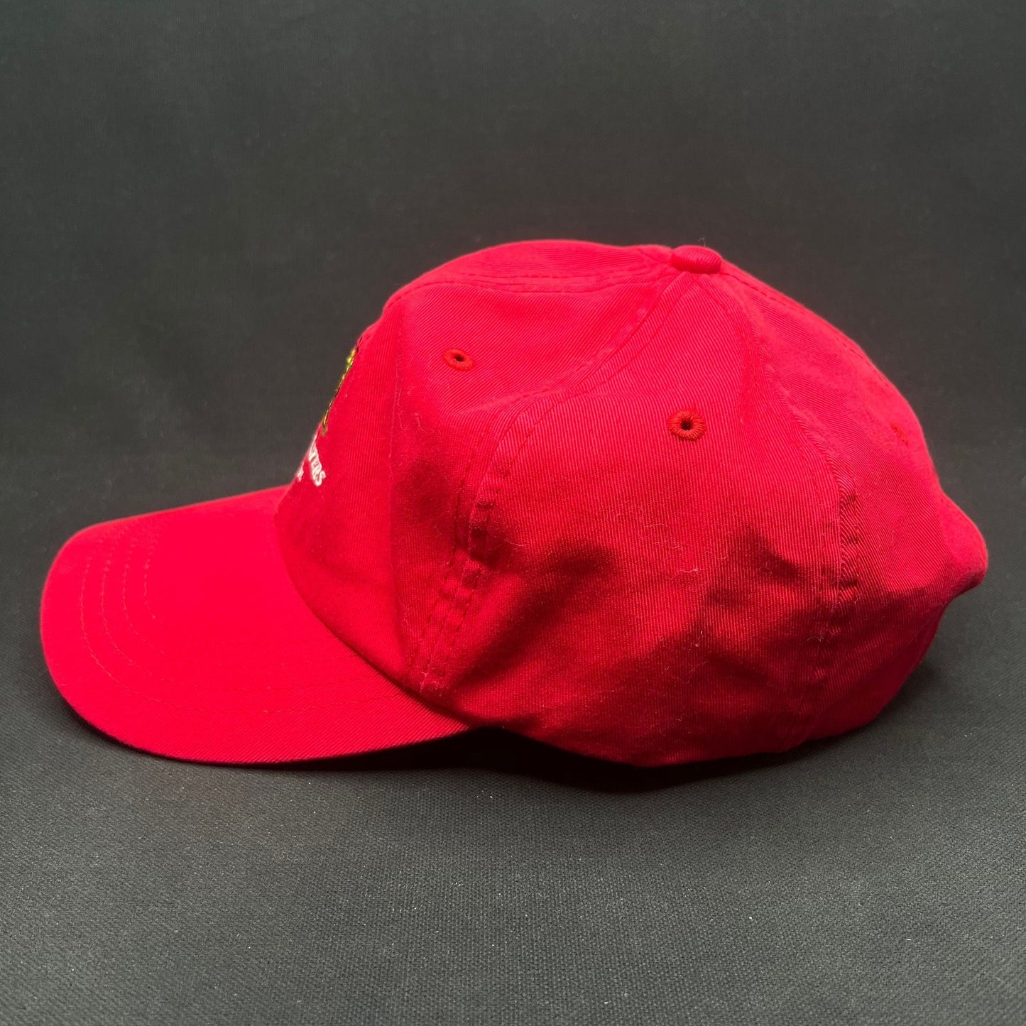 Trashmasters Aspen Golf Strapback Hat Red Vintage Style Promo Cap