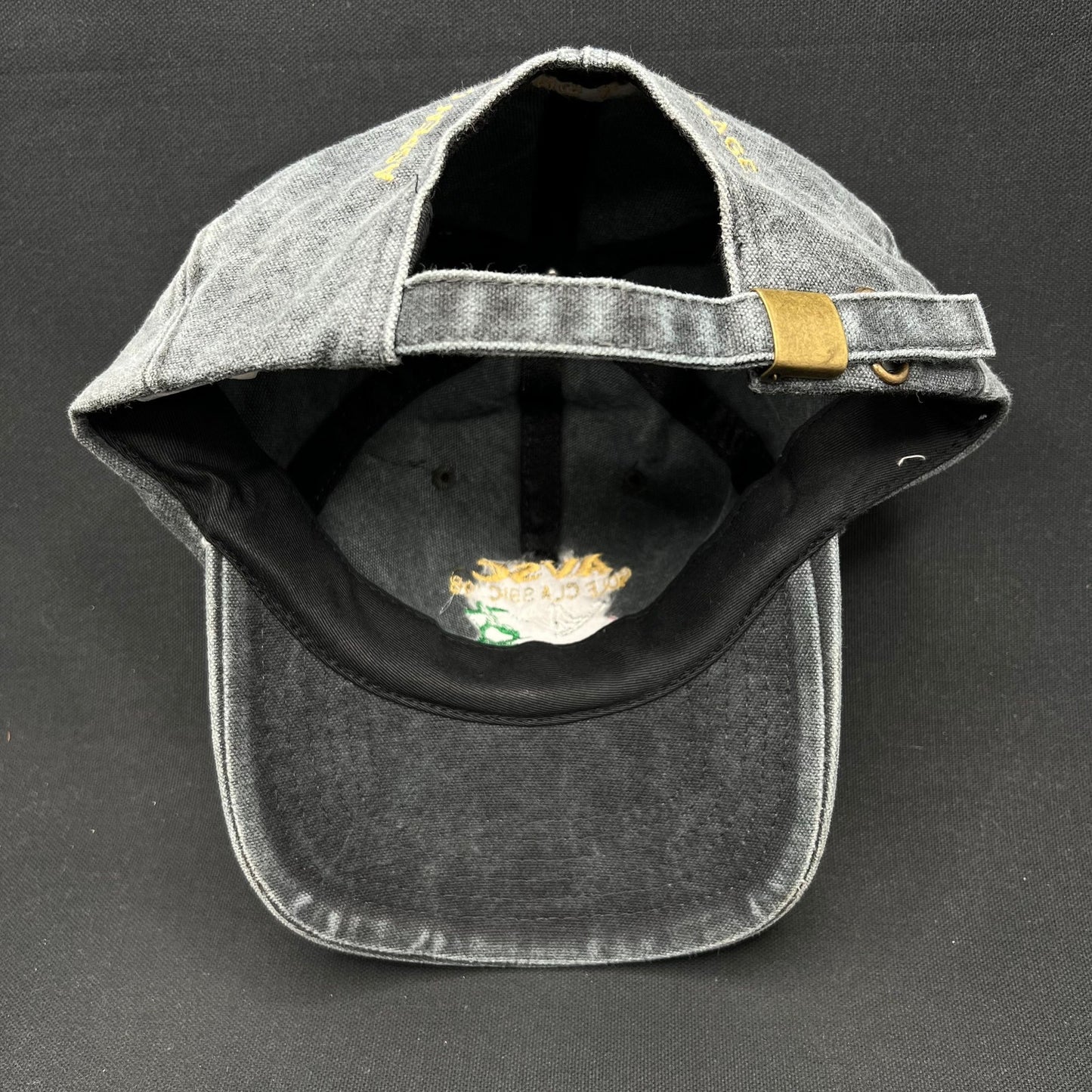 Vintage 1998 AVSC Golf Classic Cobra Strapback Hat