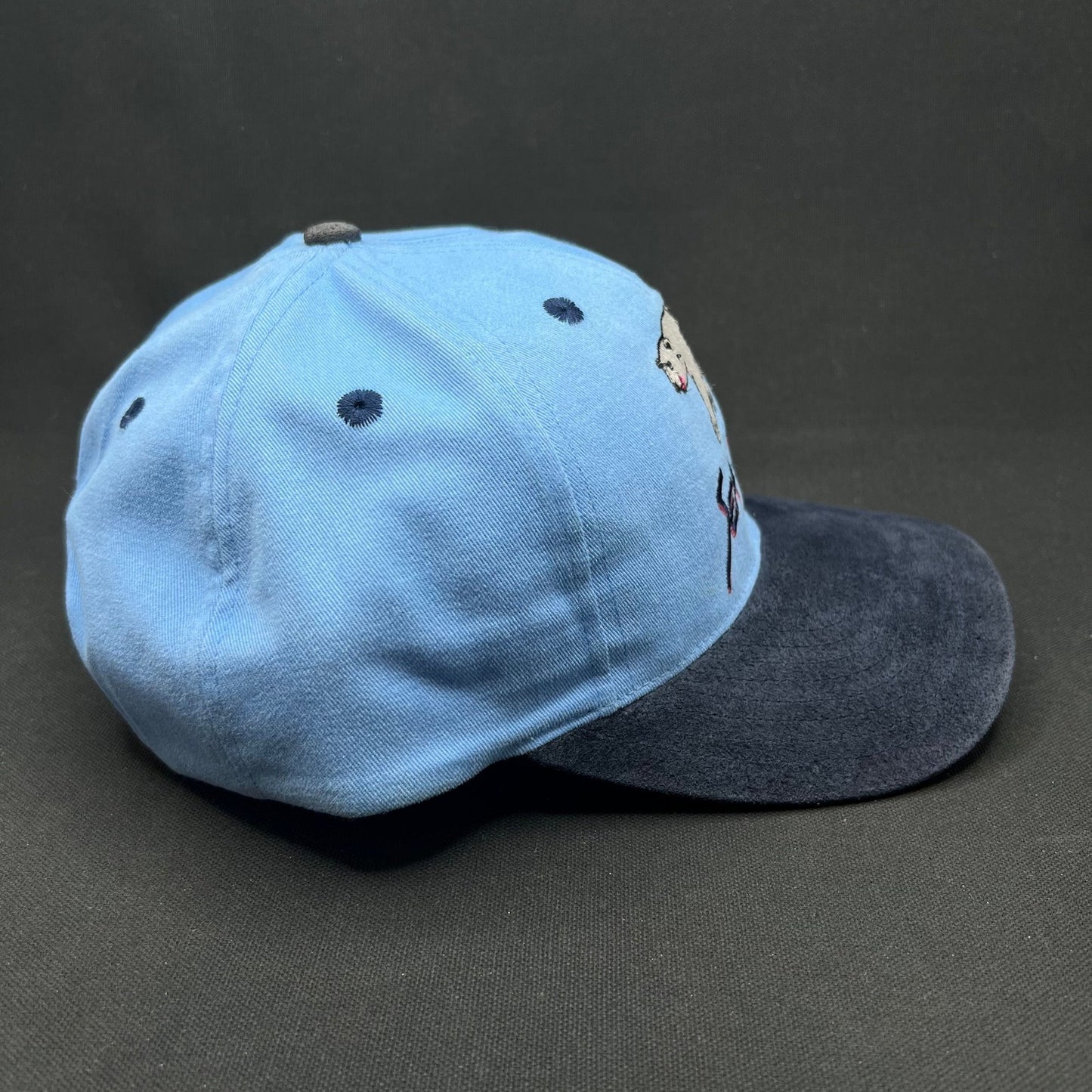 Vintage SeaWorld Polar Bear Snapback Blue Strapback Hat USA Theme Park