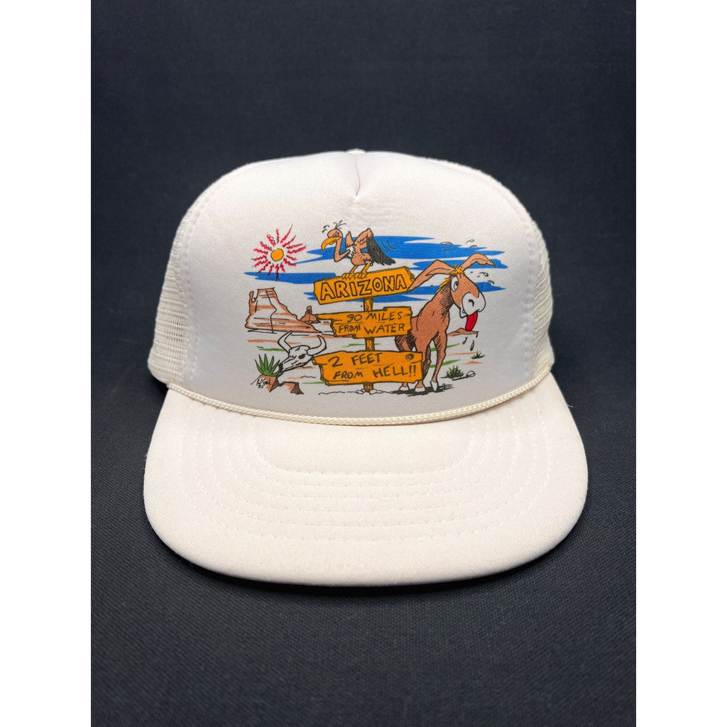 Vintage Late 1980s Arizona Desert Cartoon Trucker Hat – Headmost Taiwan ROC