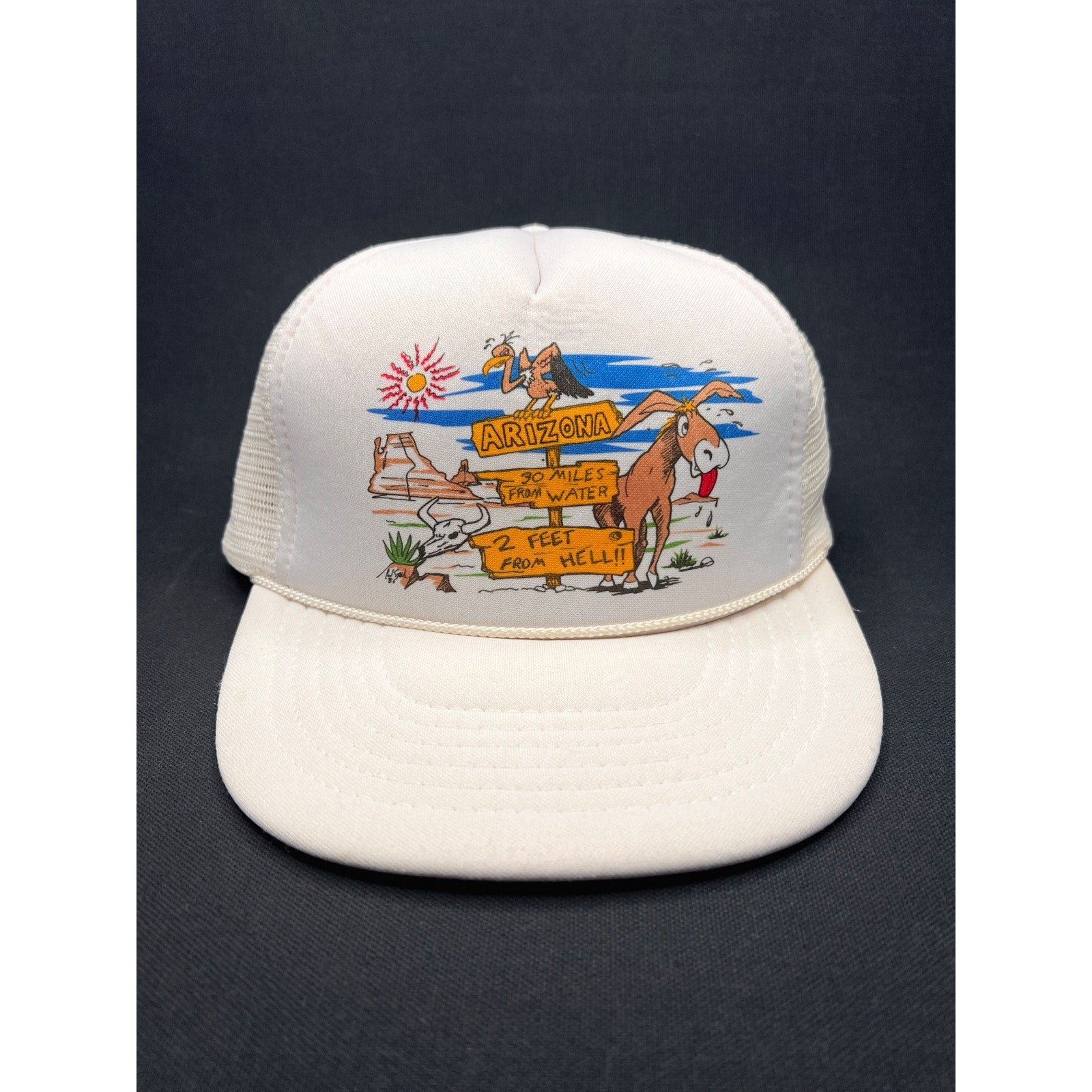 Vintage Late 1980s Arizona Desert Cartoon Trucker Hat – Headmost Taiwan ROC