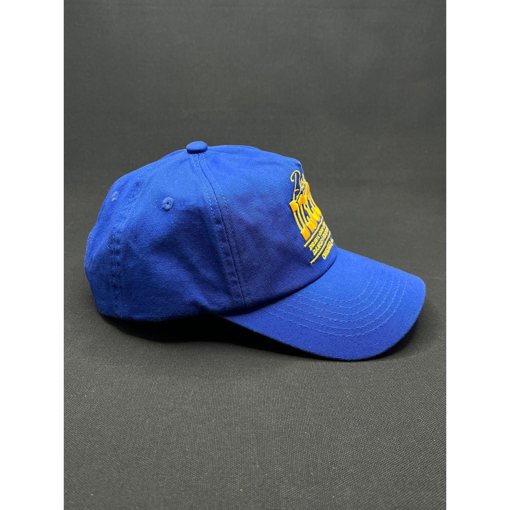Vintage Dusty Disco Chicago Illinois Blue & Yellow Snapback Hat