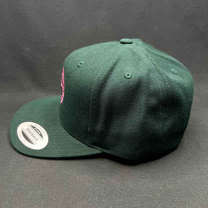 Penny Pound Ice In Ice We Trust Snapback Hat Yupoong Classics