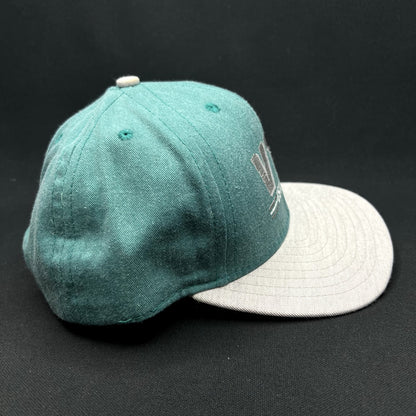 Vintage Aspen Valley Transit Department VTD Snapback Hat California Headwear USA