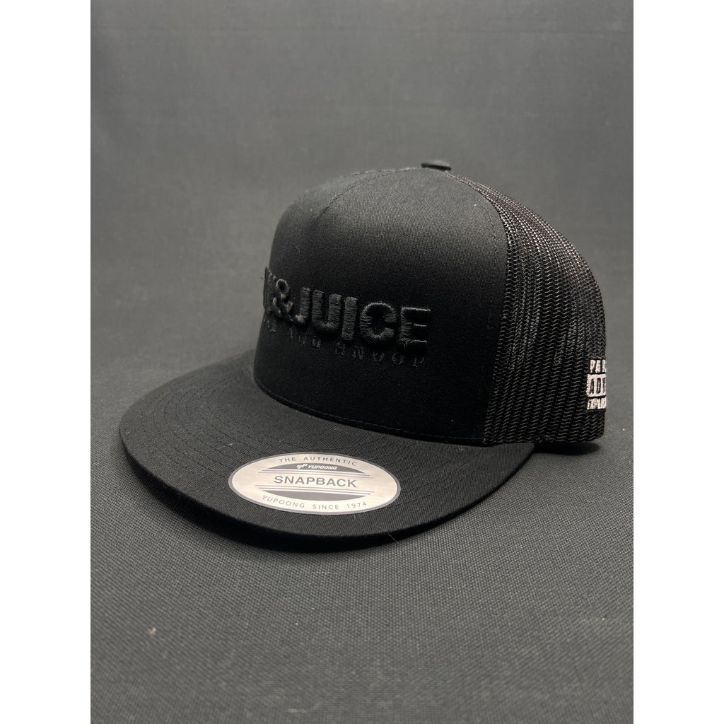 Gin & Juice by Dre & Snoop Snapback Hat – Black-on-Black Puff Embroidery Parental Advisory