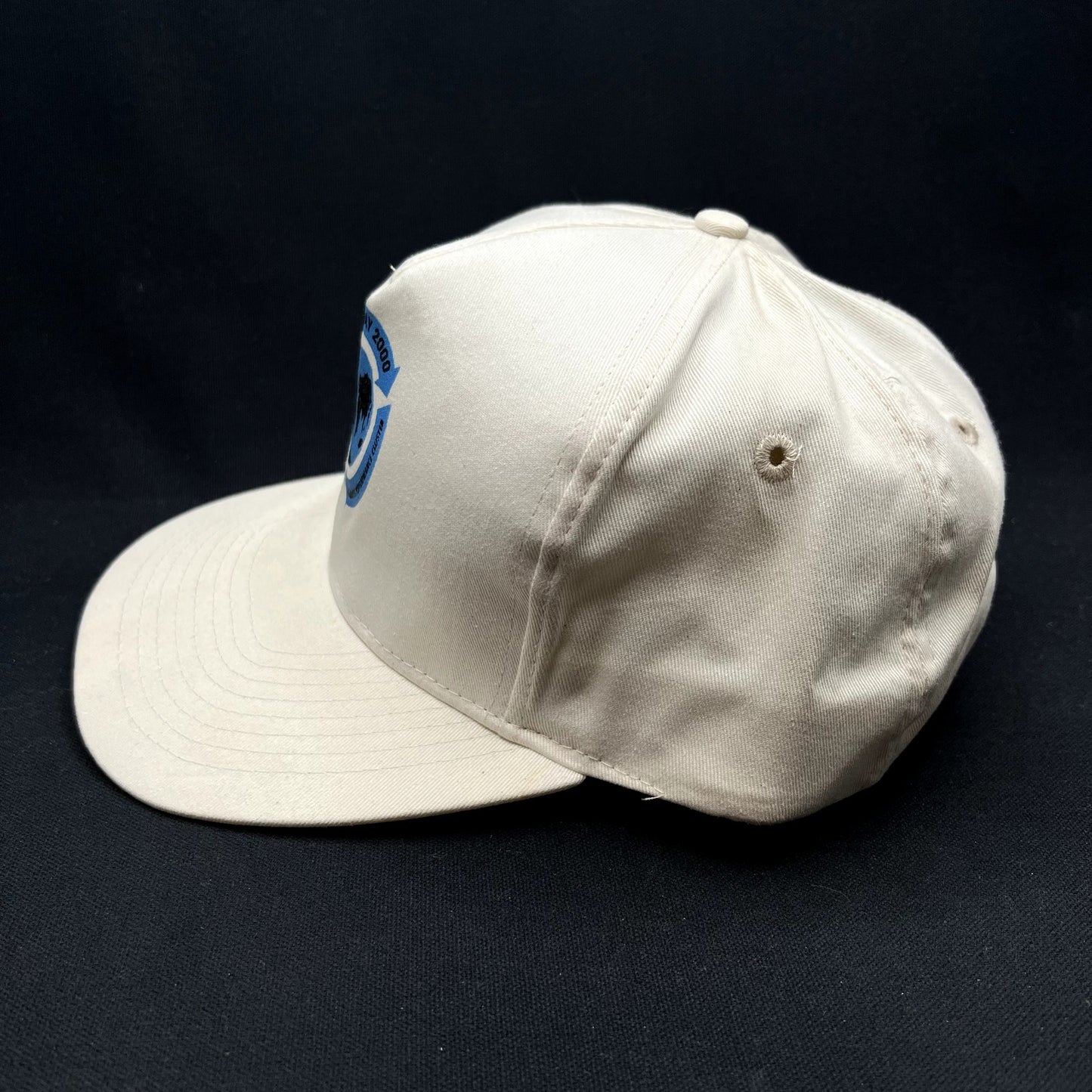 Y2K Earth Day 2000 Save The Environment Snapback Hat