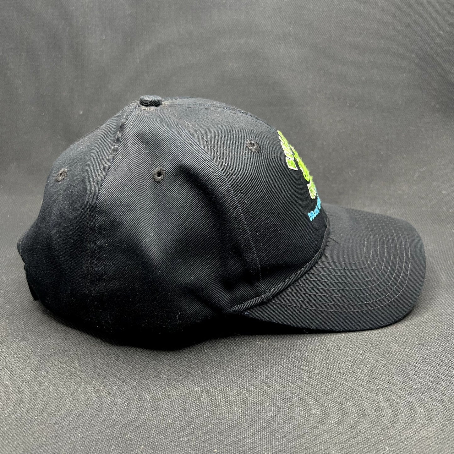 Bullfrog Marina Delta Ski Beach Strapback Hat Frog Logo Lake Powell