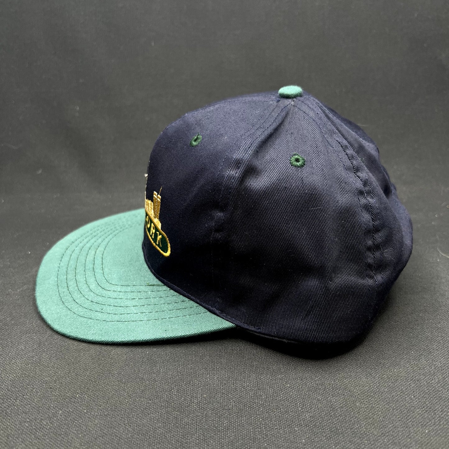 Vintage New York Skyline Snapback Hat Twin Towers NYC USA