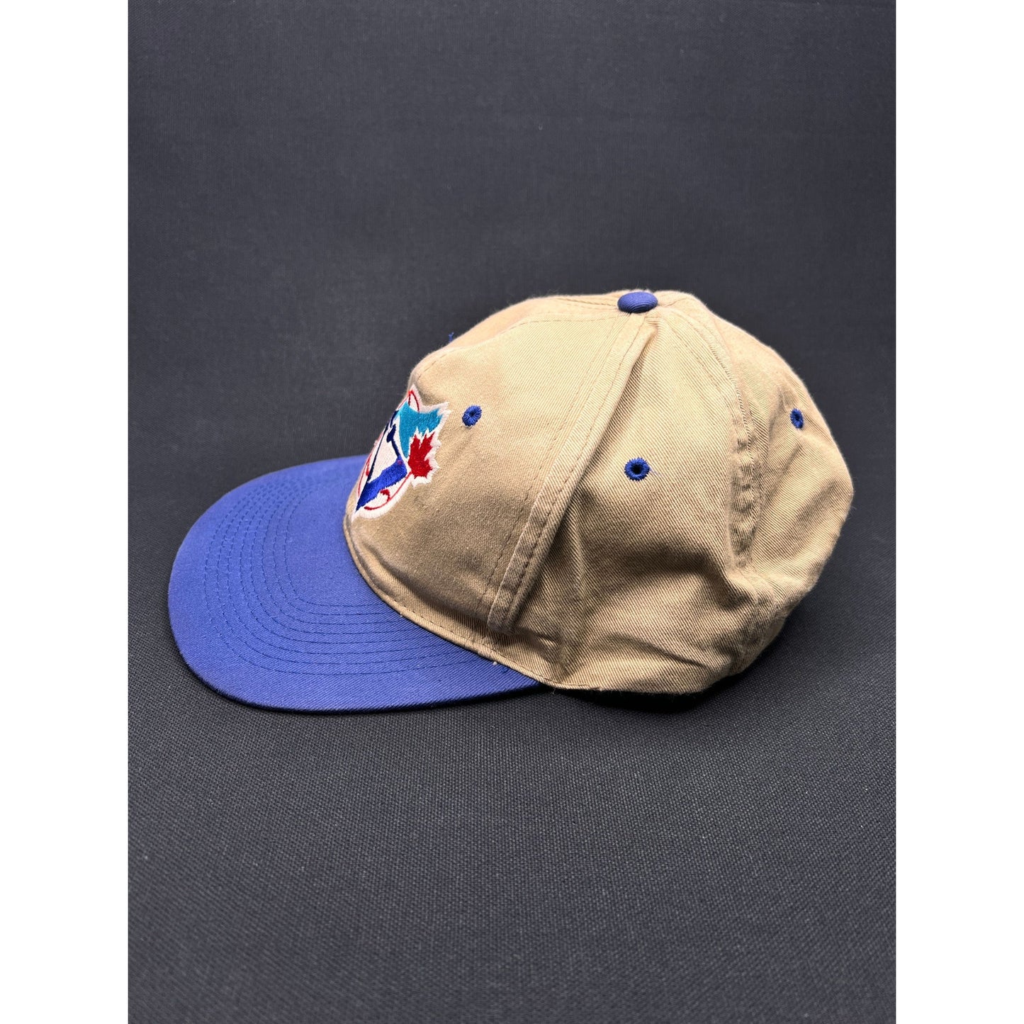 Vintage 1990s Toronto Blue Jays Hat MLB Genuine Snapback by Midway Industries