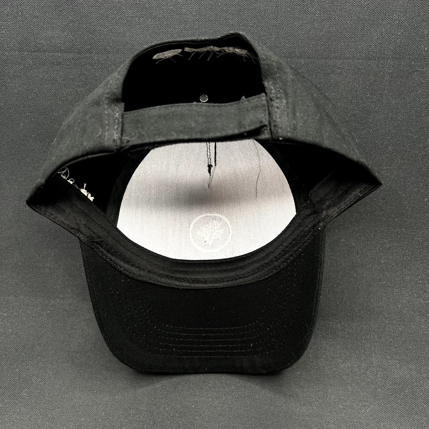 Coral Gardeners Strapback Hat Black Conservation Ocean Reef Cap