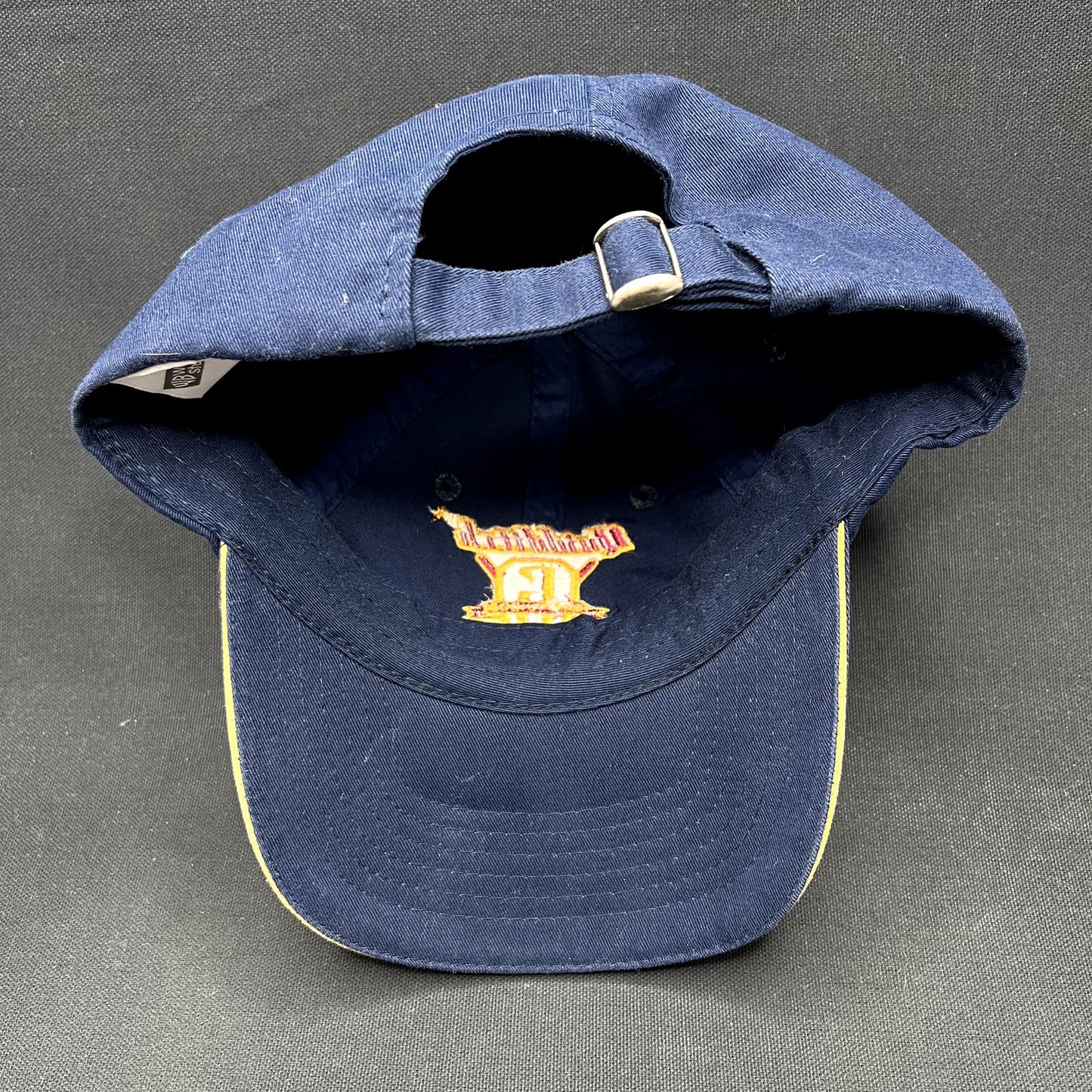 Y2K Harry Potter Gryffindor Quidditch Team Strapback Hat WB