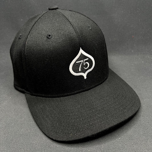 2022 Aspen 75th Anniversary Celebration Snapback Hat Black Yupoong 110