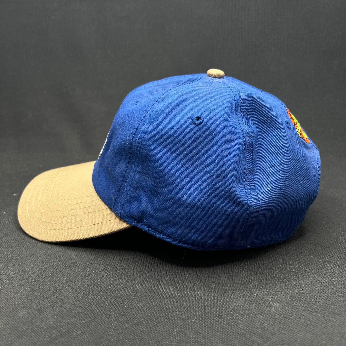 2017 Space Jam Tune Squad Strapback Hat Warner Bros