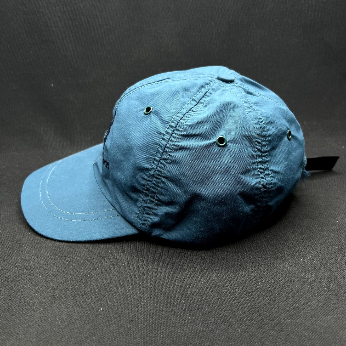Vintage Eastern Mountain Sports EMS Made USA Nylon Strapback Camp Hat