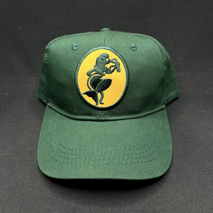 Mami Wata Surf Snapback Hat Green African Surf “Money Cannot Cure Death”