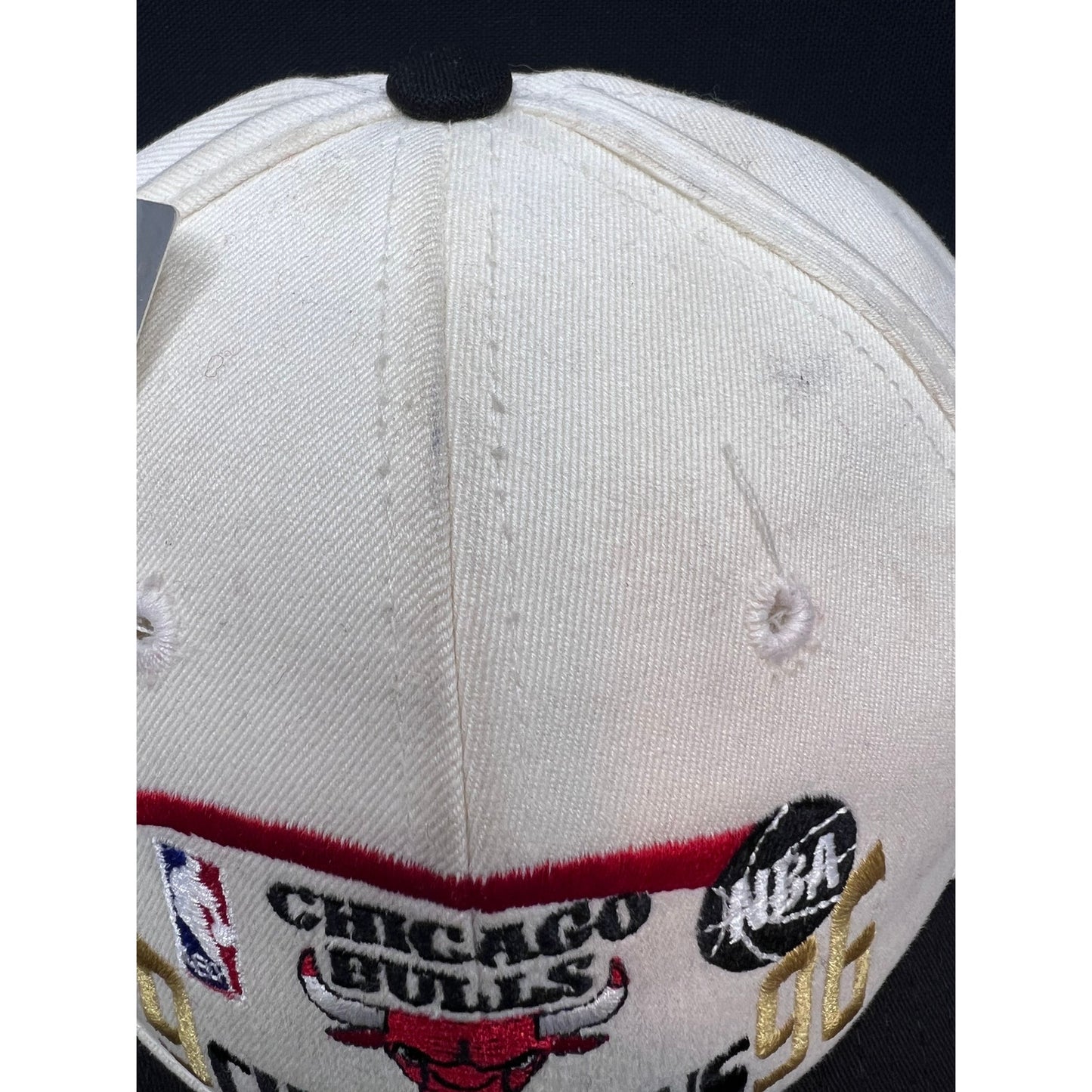 Vintage 1996 Chicago Bulls NBA Champions Hat Twins Enterprise USA New With Tags
